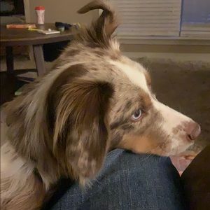 Meet your Posher, Kris